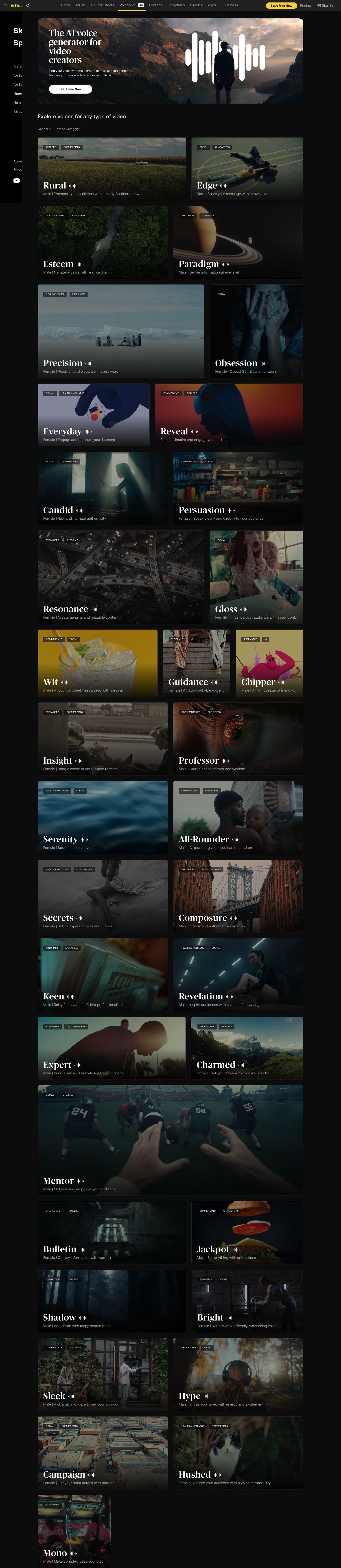 Artlist full screenshot