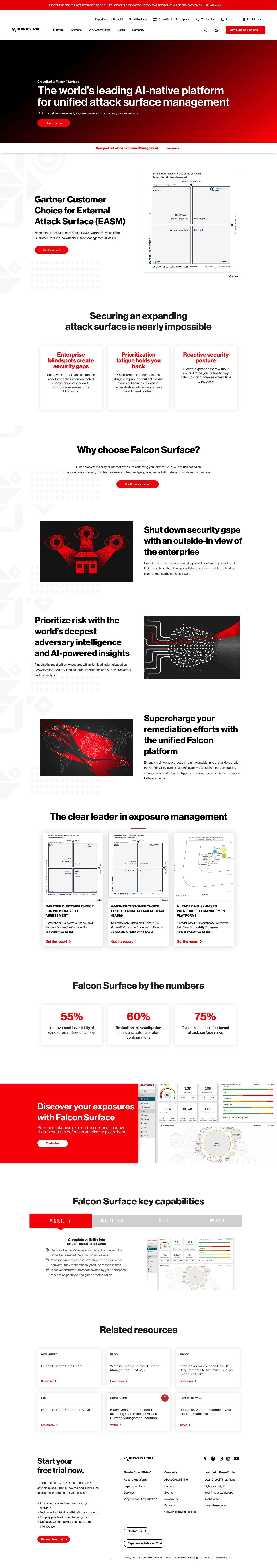 CrowdStrike Falcon Surface full screenshot