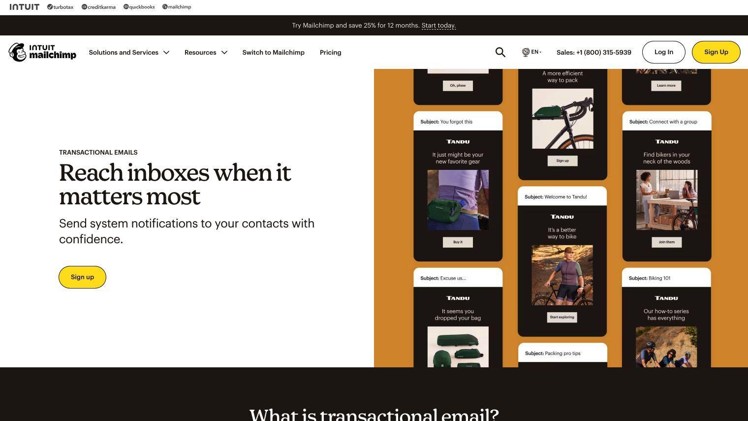 Mailchimp screenshot thumbnail