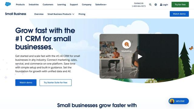 Salesforce screenshot thumbnail