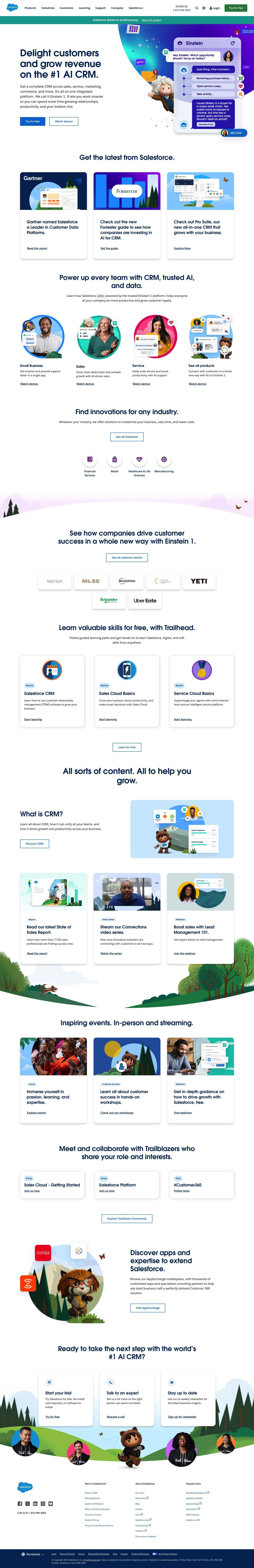 Salesforce full screenshot